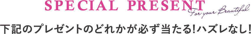 SPECIAL PRESENT 下記のプレゼントのどれかが必ず当たる!ハズレなし！