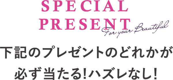 SPECIAL PRESENT 下記のプレゼントのどれかが必ず当たる!ハズレなし！