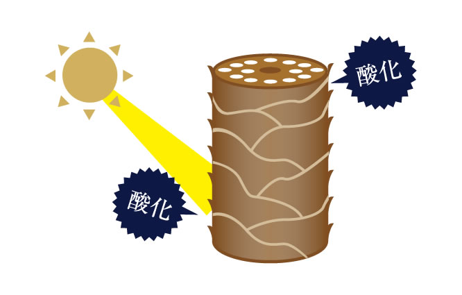 紫外線を受けたことによる髪へのダメージ